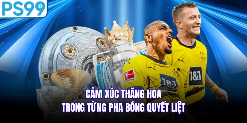  Cảm xúc thăng hoa trong từng pha bóng quyết liệt