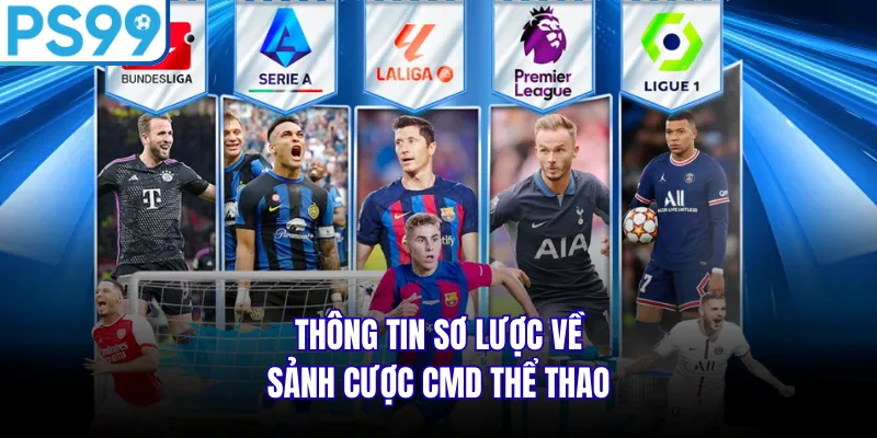 Thông tin sơ lược về sảnh cược CMD thể thao